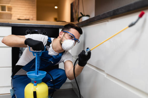Best Cockroach Control Services  in Warm Springs, CA