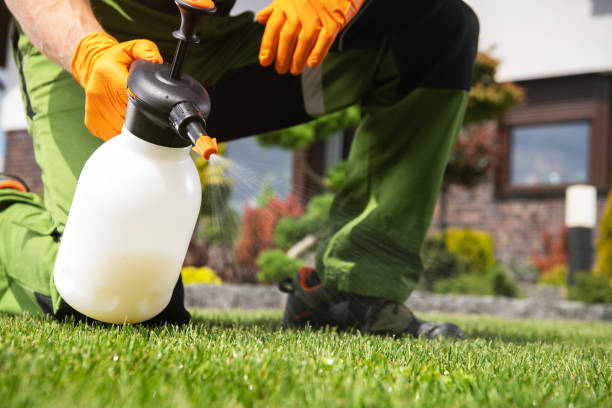 Insect Control in Warm Springs, CA