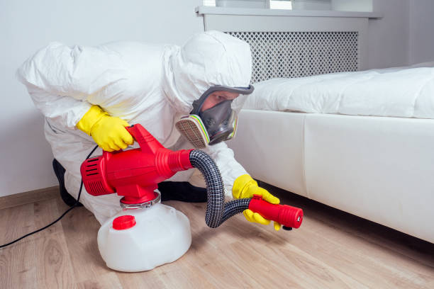 Best Pest Prevention Services  in Warm Springs, CA