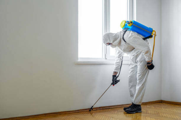 Best Affordable Pest Control Services  in Warm Springs, CA
