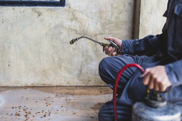 Best Pest Control for Homes  in Warm Springs, CA