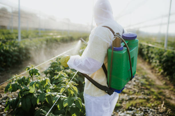 Best Local Pest Control Services  in Warm Springs, CA